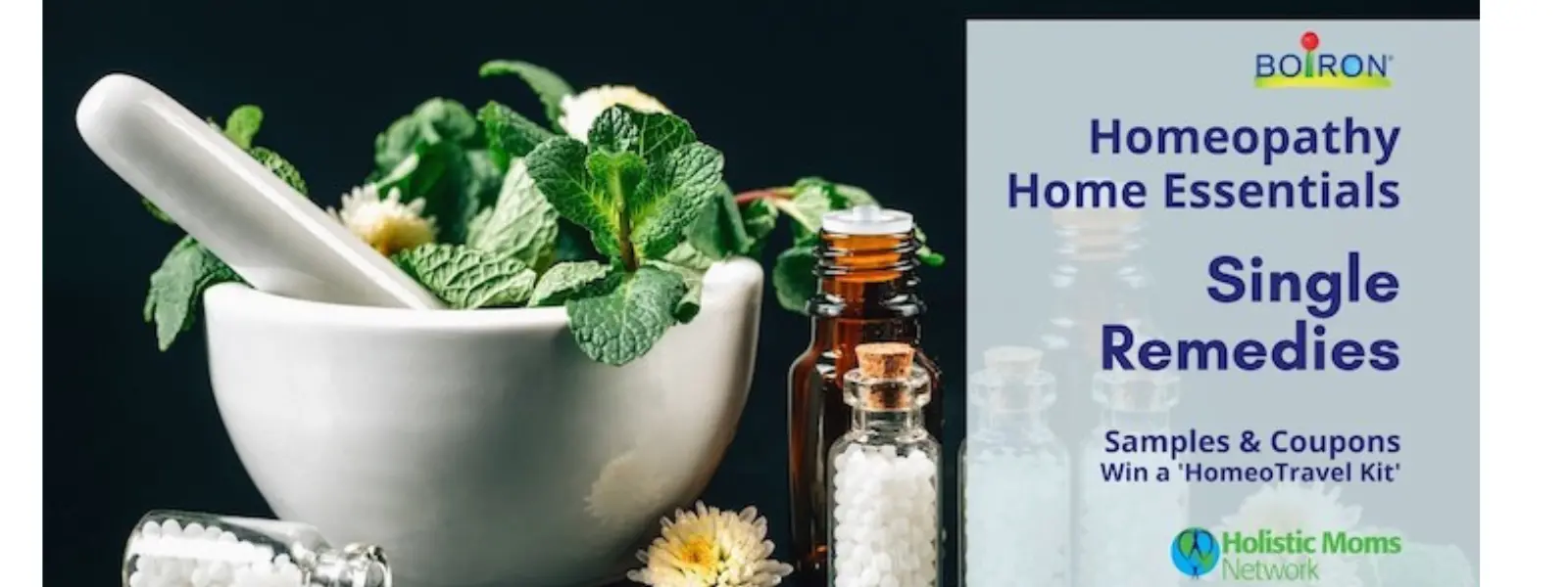 Homeopathy Home Essentials Single Remedies KnoWEwell